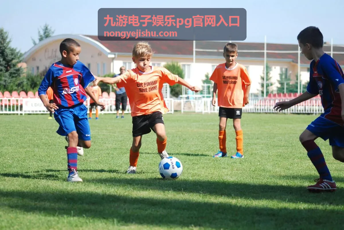 九游电子娱乐pg官网入口活动奖励总览封面图